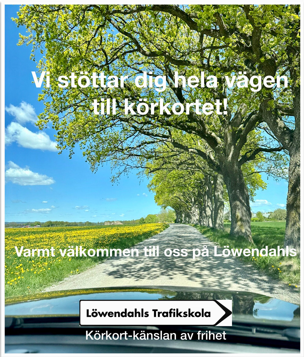 En bild på en väg en solig sommardag