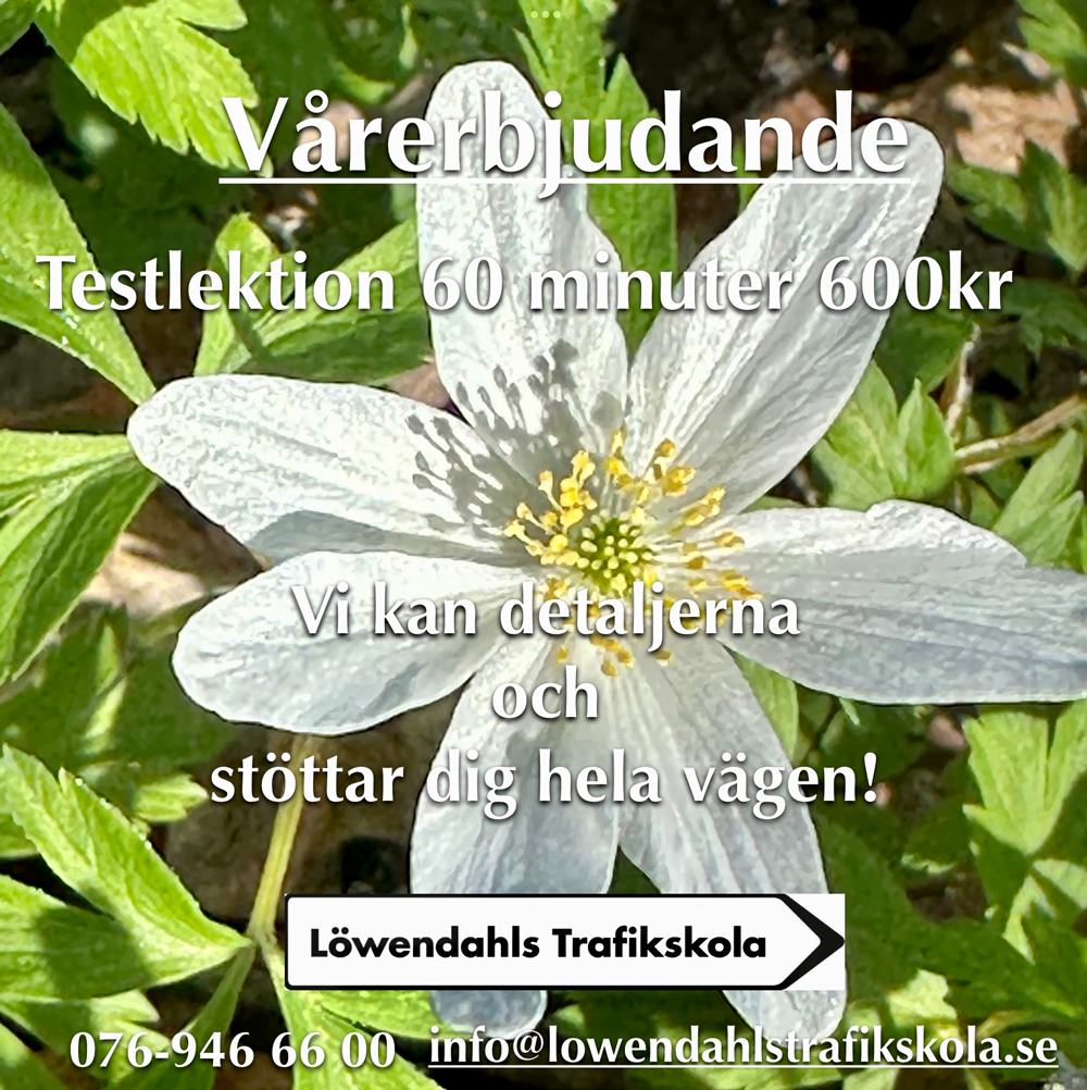 En bild på en väg en solig sommardag